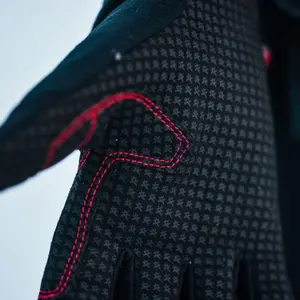 Ski gloves KinetiXx Norik image-1