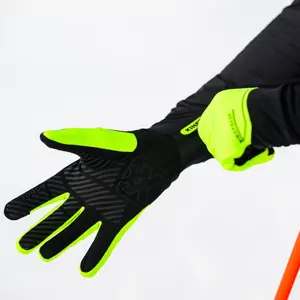 Ski gloves KinetiXx Nojan image-1