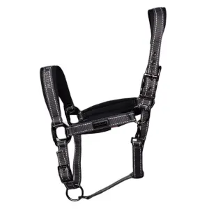 Testa per cavallo Kingsland Varsin image-0