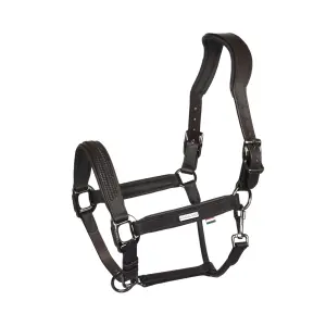 Cabestro de cuero para caballos Kingsland Neville image-0