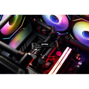Disque dur SSD M.2 NVMe Gen5 Kingston Fury Renegade G5 image-4