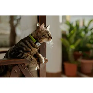 cy0535-gps-aktivitetshalsband-for-katter-kippy-gron-vit-gra-tu