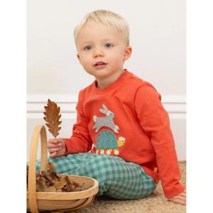 Baby T-shirt met lange mouwen Kite Hare and Tortoise image-2