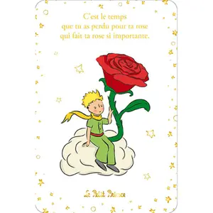 Carte simple classique Kiub Le Petit Prince V image-0