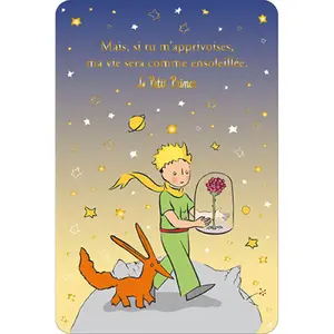 Carta semplice degradé Kiub Le Petit Prince V image-0