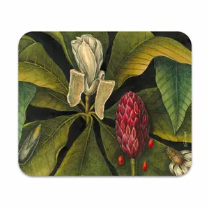Microvezeldoekje voor fruit- en bloemglazen Kiub Voyage image-0