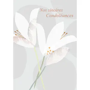 Karte Kiub Condoleances HC108 image-0