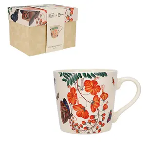 Kegelförmiger Becher + Geschenkbox Enzyklopädie Kiub Fleurs Papillons image-0