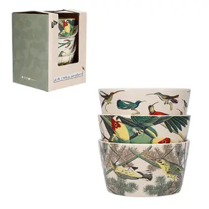 Snack-Bowl + offene Box-Enzyklopädie Kiub Oiseaux image-0