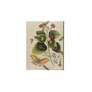 Custodia elastica con patta a farfalla Kiub Voyage image-0