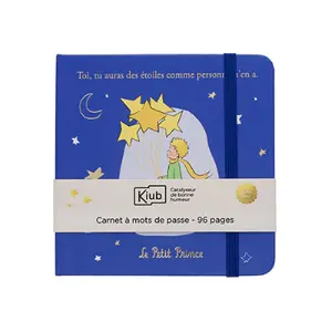 Wachtwoord notitieboekje vierkant Kiub Le Petit Prince image-0