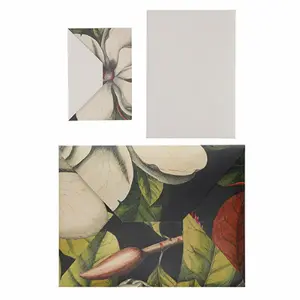 Pack of white flower envelopes Kiub Voyage image-0