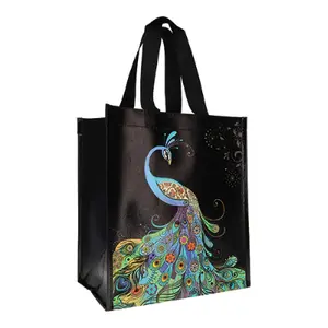 Borsa di plastica sostenibile Kiub Jewels Paon image-0