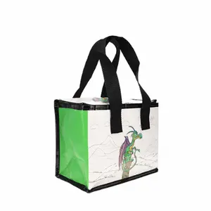Borsa per il pranzo con mini drago Kiub Kook image-0