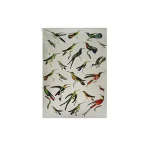 Enciclopedia Torchon Kiub Oiseaux image-0
