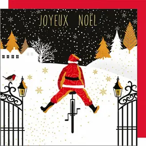 Double noel card Portfolio Jaz And Baz image-0