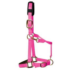 Licol pour cheval luxueux nylon KM Elite image-0