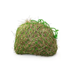 shnhg-resetra-for-ho-km-elite-warm-green-tu