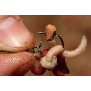 Συντήρηση Korda Maggot Klip (S) (x10) image-0