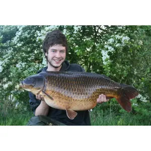 Νάιλον με βάση τη γραμμή Korda MouthTrap 6.8kg (20m) image-2