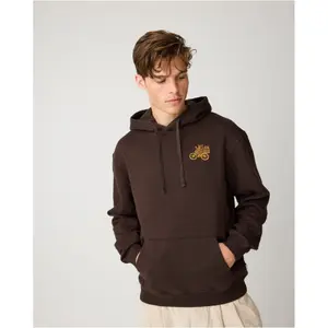 Hooded sweatshirt with embroidery KnowledgeCotton Apparel image-1