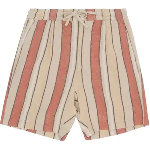 Striped shorts KnowledgeCotton Apparel Fig image-0
