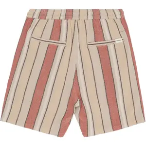 Striped shorts KnowledgeCotton Apparel Fig image-1