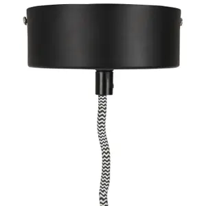Hanging lamp Alterego Atupa image-5