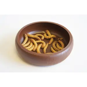 Futterstelle für Reptilien Komodo Mealworm Disk image-1