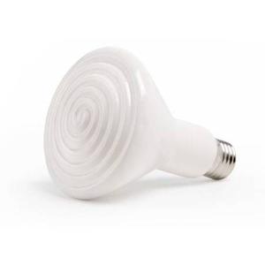 ko45523-bol-komodo-radiant-heat-wit-200-w