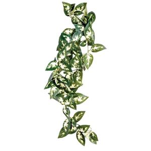 ko46206-reptile-shelter-komodo-borneo-hanging-vine-green