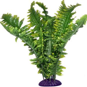 ko82511-aquariumdekoration-komodo-boston-fern-grun