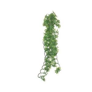 ko82527-reptile-shelter-komodo-papaya-leaf-vine-green