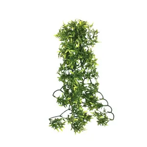 ko82530-skydd-for-reptiler-komodo-croton-plant-gron