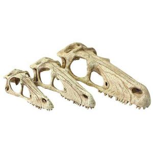 ko82942-akcesorium-do-terrarium-male-komodo-raptor-skull-bezowy-tu