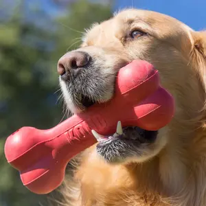 Juguete para perro Kong Goodie Bone image-2