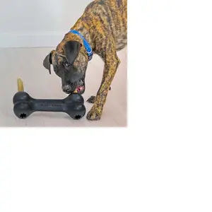 Juguete para perro Kong Extreme Goodie Bone image-2
