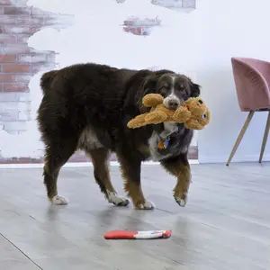 Plush for dogs Kong Comfort Pups Goldie image-2