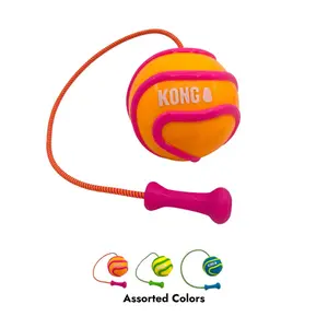 Παιχνίδι για σκύλους Kong Bunji High-Viz image-0