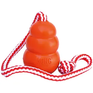 Hundespielzeug Kong Company Aqua image-0