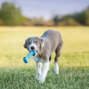 Hondenspeelgoed Kong Company Kong Company Goodie Bone Pupp image-2