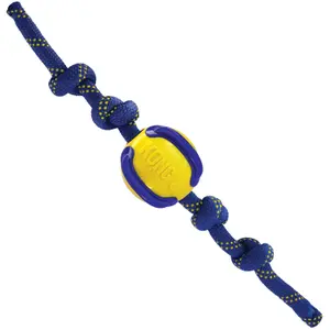 Bola de cão Kong Company Jaxx Brights image-0