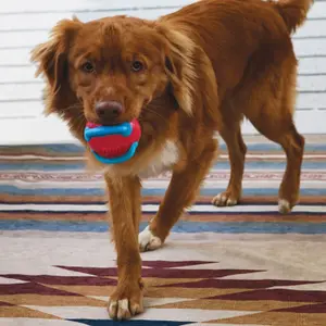 Bola de cão Kong Company Jaxx Brights image-3