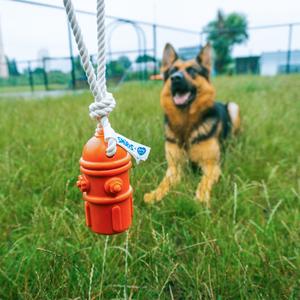 Hundespielzeug Quietschhuhn aus Latex Duvoplus image-3