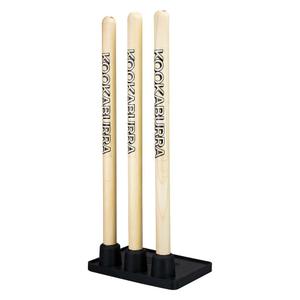 3t296110-cricket-stamm-aus-holz-kookaburra-beige-tu