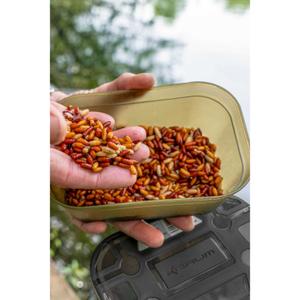 Aasdozen Korum image-1