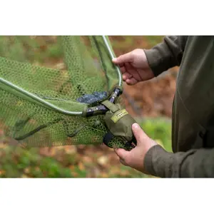 Schwimmer Korum Progress image-1