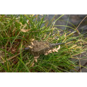 Voederbak Korum Window 20 g image-2