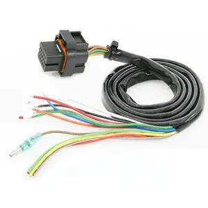 Faisceau de compteur Motor Spare Part Koso image-0