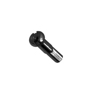 Brass Rim Head Krayton (x10) image-1